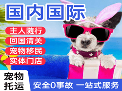 咸阳空运地址国际宠物托运 【国